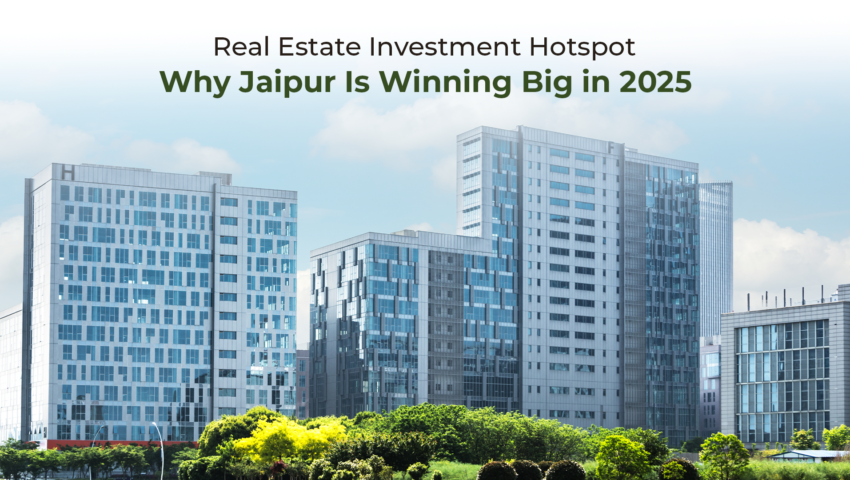 Real Estate Investment
